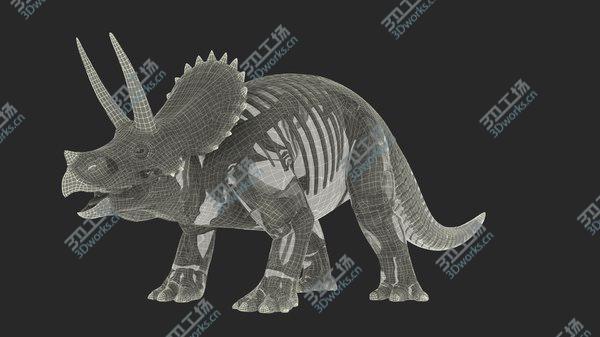 images/goods_img/20210312/Triceratops Skeleton with Transparent Skin Rigged 3D model/5.jpg
